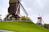 Brugge - due mulini a vento il Sint-Janshuysmolen e l adiacente Bonne-Chiere. 